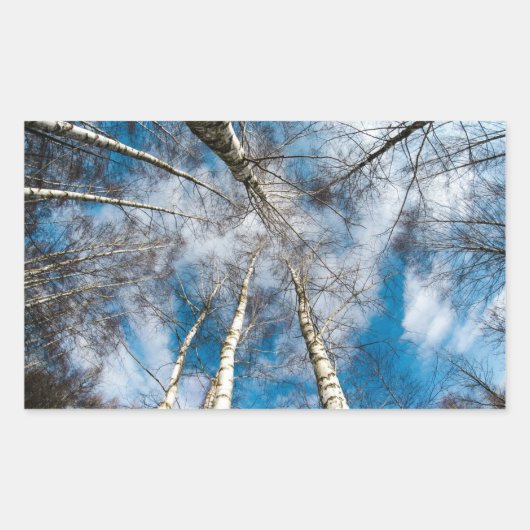 Mooie Bomen Naar de Sky Sticker (Voorkant)