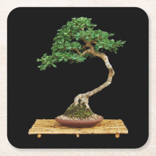 Mooie Bonsai Tree Onderzetter Set