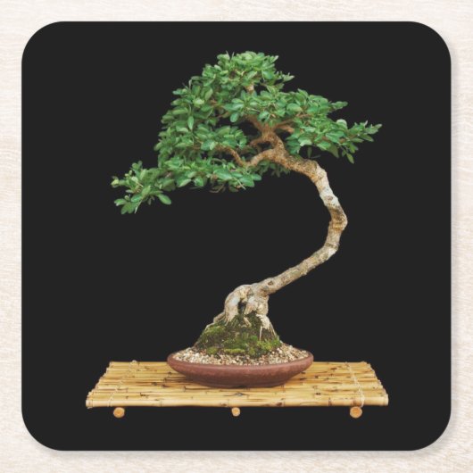 Mooie Bonsai Tree Onderzetter Set (Voorkant)
