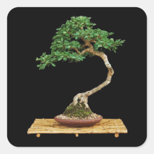 Mooie Bonsai Tree Sticker Set