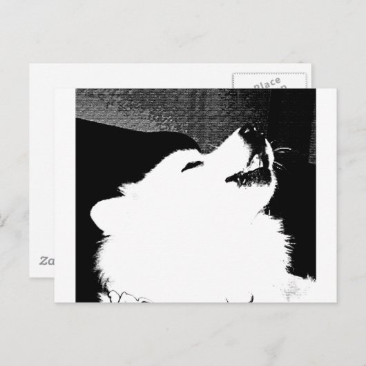 Mooie bont witte hond Samoyed Briefkaart (Voorkant / Achterkant)