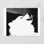 Mooie bont witte hond Samoyed Briefkaart (Voorkant)