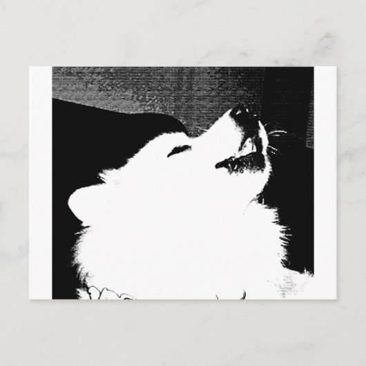 Mooie bont witte hond Samoyed Briefkaart (Voorkant)