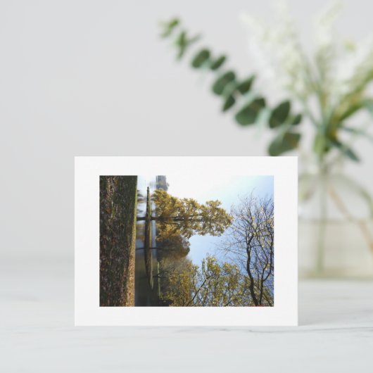 Mooie boom Briefkaart (Staand voorkant)