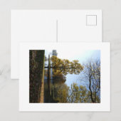 Mooie boom Briefkaart (Voorkant / Achterkant)