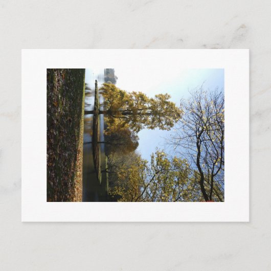 Mooie boom Briefkaart (Voorkant)