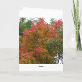 Mooie boom, de schoonheid van God Kaart (Achterkant)