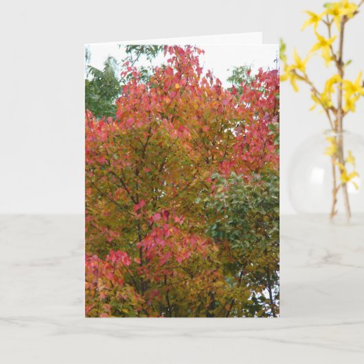 Mooie boom, de schoonheid van God Kaart (Gele Bloem)