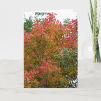 Mooie boom, de schoonheid van God Kaart