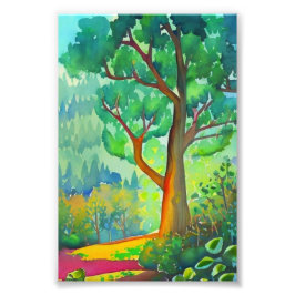 Mooie boom Fotovergroting Foto Afdruk