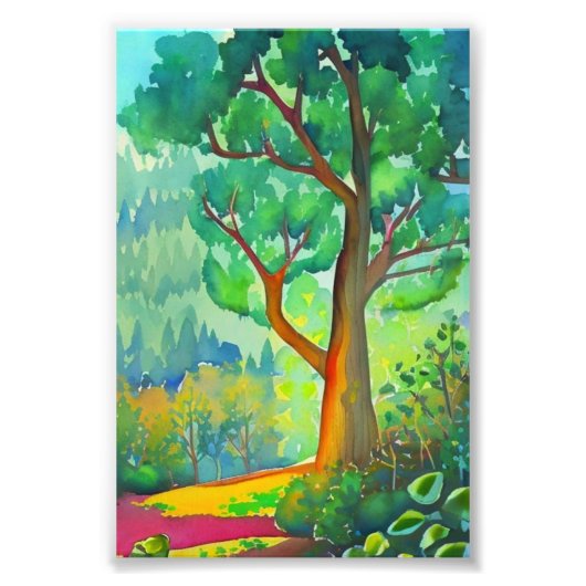 Mooie boom Fotovergroting Foto Afdruk (Voorkant)