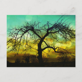Mooie boom Silhouette op Sunset Ombre Aqua Briefkaart