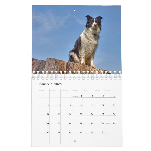 Mooie Border Collie Dog-agenda Kalender (Jan 2026)