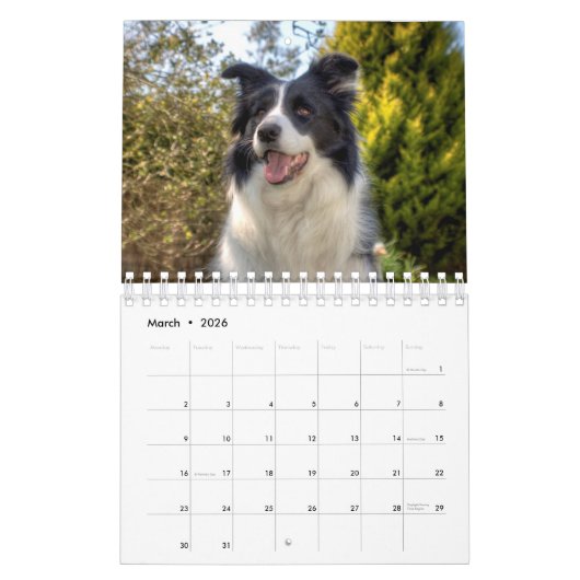 Mooie Border Collie Dog-agenda Kalender (Mar 2026)