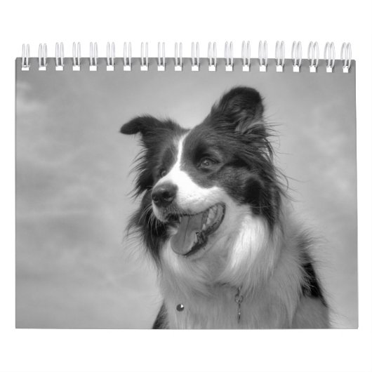 Mooie Border Collie Dog-agenda Kalender (Hoes)