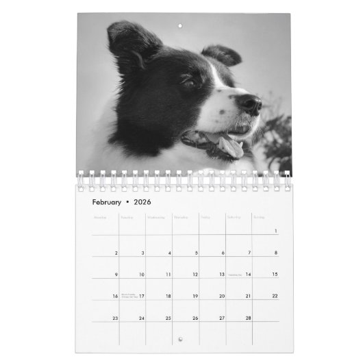 Mooie Border Collie Dog-agenda Kalender (Feb 2026)