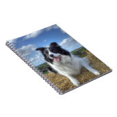 Mooie Border Collie Hond Foto Notitieboek (Rechterzijde)
