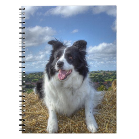 Mooie Border Collie Hond Foto Notitieboek (Voorkant)