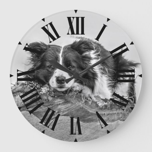 Mooie Border Collie Hond Grote Klok (Voorkant)