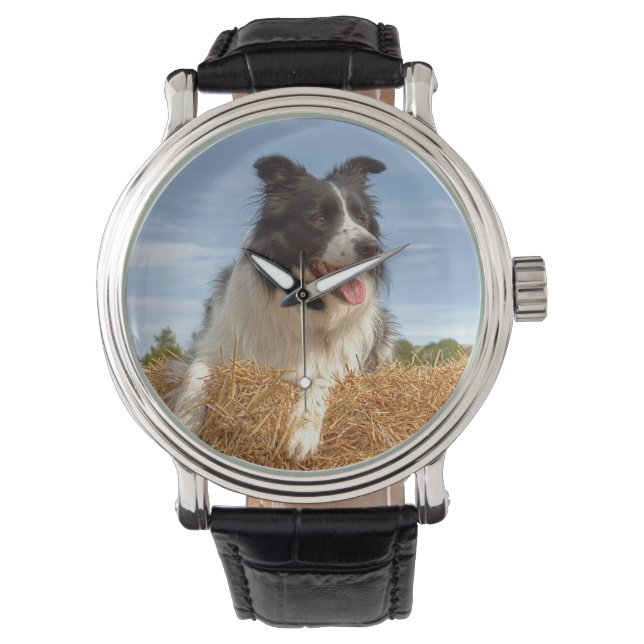 Mooie Border Collie Hond Horloge (Voorkant)