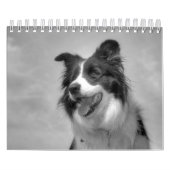 Mooie Border Collie hond kalender (Hoes)