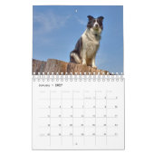 Mooie Border Collie hond kalender (Jan 2027)