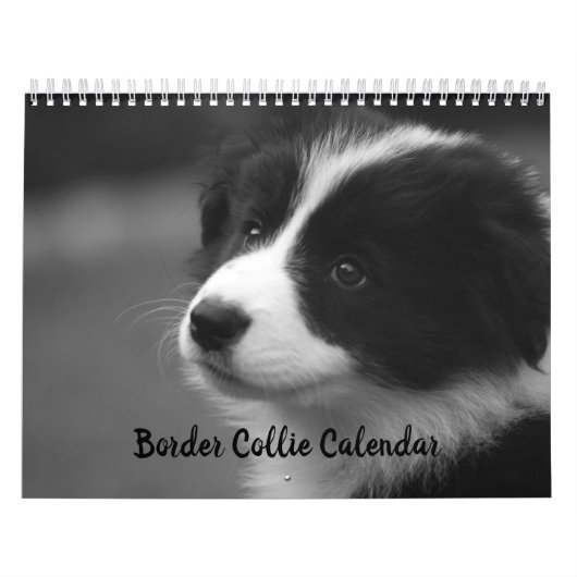 Mooie Border Collie Hond Kalender (Hoes)