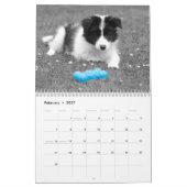 Mooie Border Collie Hond Kalender (Feb 2027)