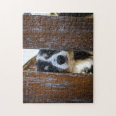 Mooie Border Collie Hond Portret Legpuzzel (Verticaal)