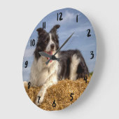 Mooie Border Collie op strobaal klok (Hoek)