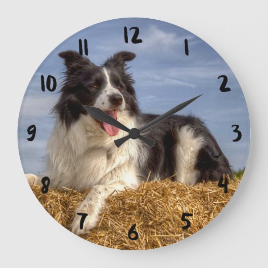 Mooie Border Collie op strobaal klok (Voorkant)