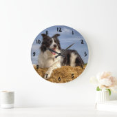 Mooie Border Collie op strobaal klok (Huis)