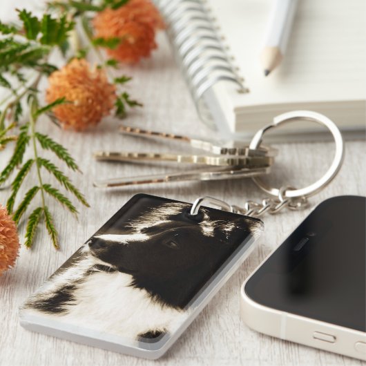 Mooie Border Collie~ Sleutelhanger (Voorkant Rechts)