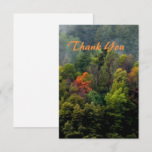 Mooie bosbomen bedankkaart (Voorkant / Achterkant)