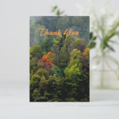 Mooie bossen bomen bedankkaart (Staand voorkant)