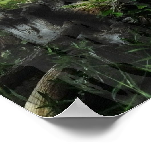 Mooie Bossen Poster (Hoek)