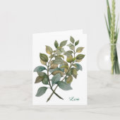 Mooie Botanische/Basil gevouwen Wenskaart Feestdagen Kaart (Voorkant)