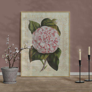 Mooie botanische print Camellia bloem