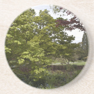 Mooie botanische tuin. zandsteen onderzetter