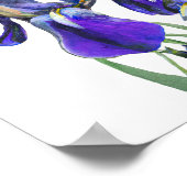 Mooie botanische Waterverf Blauwe Iris bloemen Poster (Hoek)