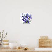 Mooie botanische Waterverf Blauwe Iris bloemen Poster (Keuken)