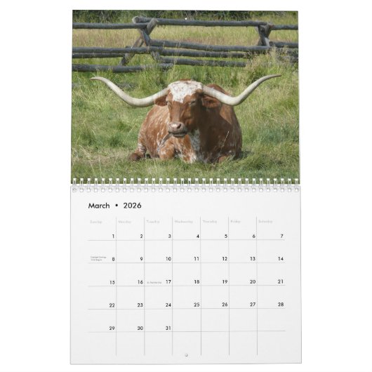 Mooie Bovines 12-maandelijkse kalender voor 2016 (Mar 2026)