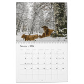 Mooie Bovines 12-maandelijkse kalender voor 2016 (Feb 2026)