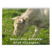 Mooie Bovines 12-maandelijkse kalender voor 2016 (Hoes)