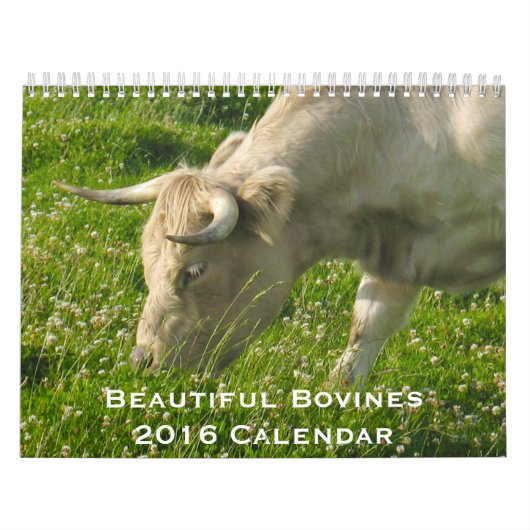 Mooie Bovines 12-maandelijkse kalender voor 2016 (Hoes)