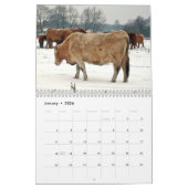 Mooie Bovines 12-maandelijkse kalender voor 2016 (Jan 2026)