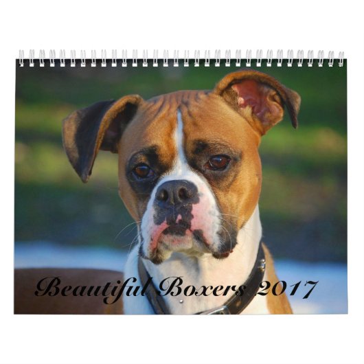 Mooie Boxers 2017-agenda Kalender (Hoes)
