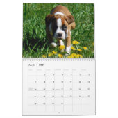 Mooie Boxers 2017-agenda Kalender (Mar 2027)