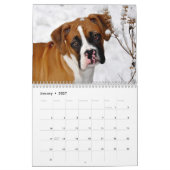 Mooie Boxers 2017-agenda Kalender (Jan 2027)