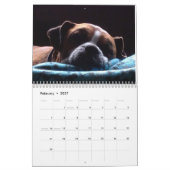 Mooie Boxers 2017-agenda Kalender (Feb 2027)